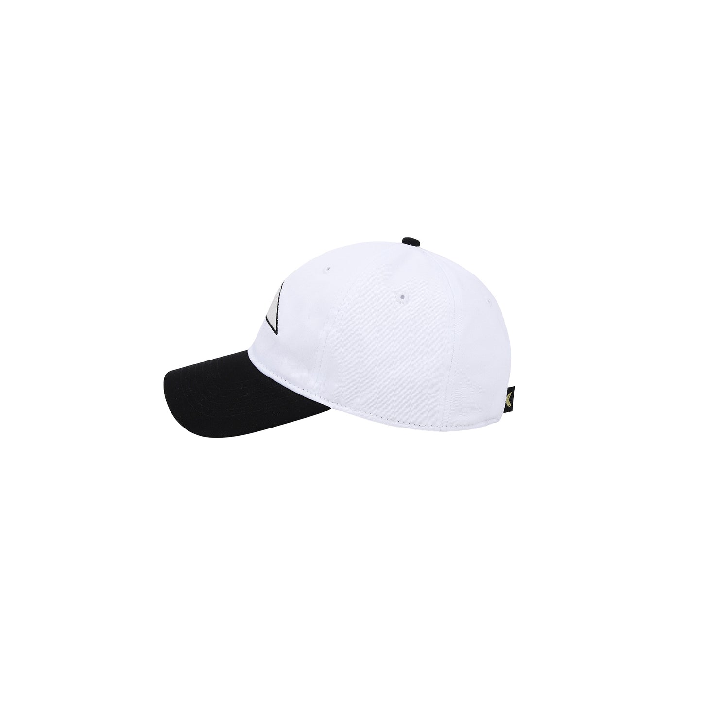 Cycling Cap